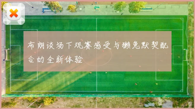 布朗谈场下观赛感受与獭兔默契配合的全新体验
