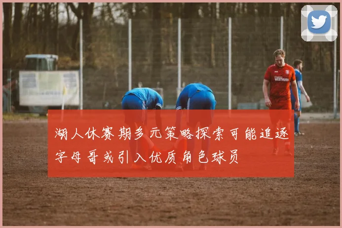 湖人休赛期多元策略探索可能追逐字母哥或引入优质角色球员
