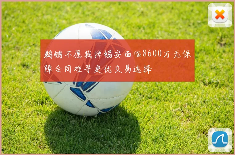 鹈鹕不愿裁掉锡安面临8600万无保障合同难寻更优交易选择