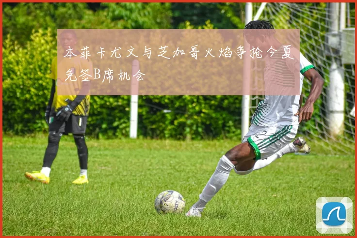 本菲卡尤文与芝加哥火焰争抢今夏免签B席机会