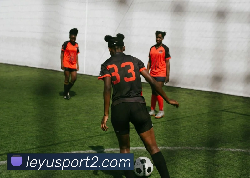 多媒体互动体验